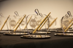 Amma-Awards-2026-013