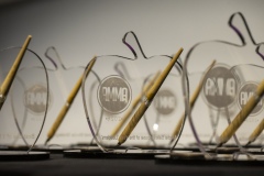 Amma-Awards-2026-201